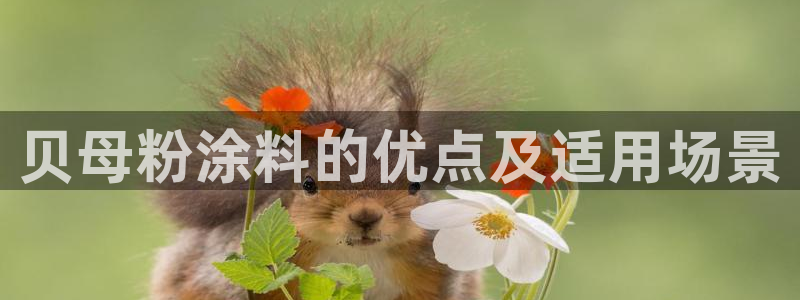 爱游戏中国官方网站：贝母粉涂料的优点及适