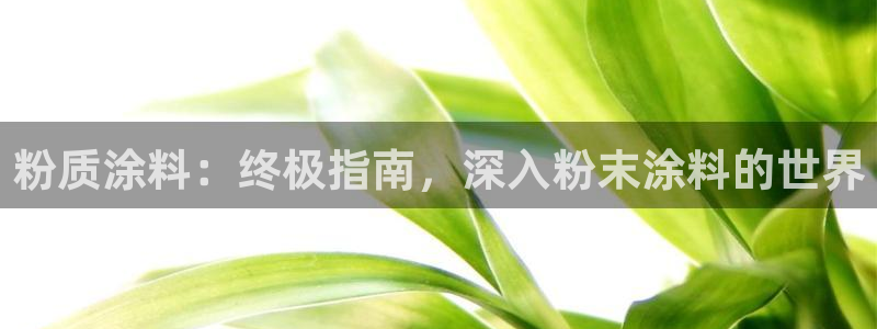 爱游戏爱体育官网